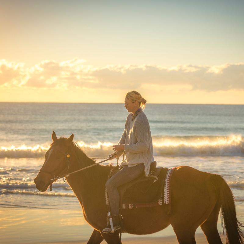 Zephyr Horse Riding